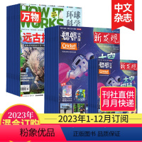 [混合2种整年]2023年1-12月刊(万物+创想国) [正版]4月新期打包订购万物杂志9-15岁中小学生青少年中文版