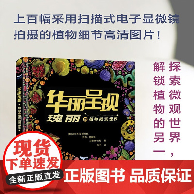 华丽呈现 瑰丽的植物微观世界 沃尔夫冈·斯塔佩等 著 剖析植物种子结构放大植物内部细节了解植物生长那个与繁衍奥秘 科普读