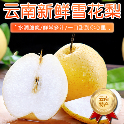 [西沛生鲜]云南新鲜雪花梨 净重3斤 中果 单果150-200g 新鲜脆梨水果当季现摘现发雪花梨孕妇水果头茬新果