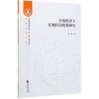 音像开放经济下宏观经济政策研究罗融