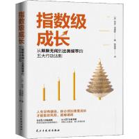 音像指数级成长格里·洛维斯