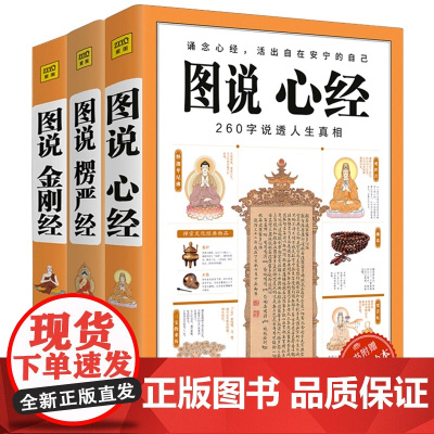 共3册 图说金刚经+心经+楞严经 全套经典图解版文白对照 佛经佛学书籍初学者入门 经典十三经原文解释 经书禅修经文 读本