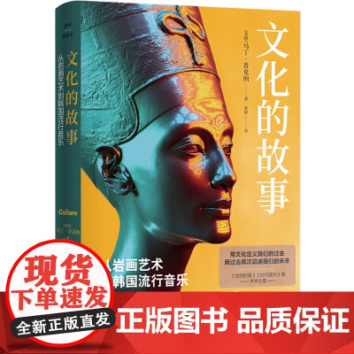文化的故事:从岩画艺术到韩国流行音乐 译林思想史 亲历文化史上15个关键点 用文化定义过去用过去再次启迪未来 柏拉图庞贝