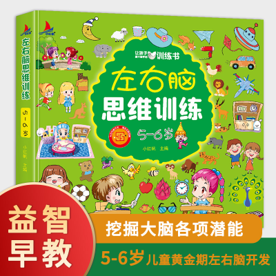 正版新书]左右脑思维训练5-6岁儿童全脑开发专注力逻辑力想象力