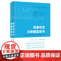 正版 刑事司法大数据蓝皮书 林维 著 北京大学出版社