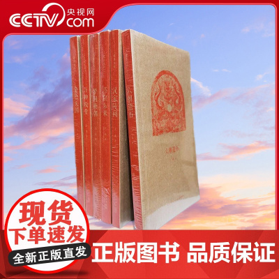 [央视网]王南建筑史诗系列第一辑全6册 万神殿堂+汉家陵阙+塔窟东来+六朝遗石+金色天国+梦回唐朝 梁思成王南 DX