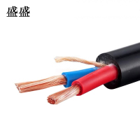 盛盛 橡套防水电缆 YC2*4 米