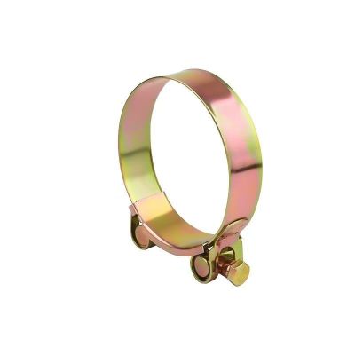 智铮朗月 双型强力喉箍卡箍 碳钢镀锌 4.8级 60-63mm 个