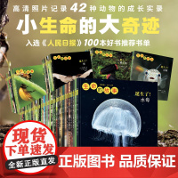生命的故事42册 第1-4合辑 珍稀动物无穷小亮 儿童少儿昆虫科普百科全书动物世界 3-6岁幼儿园图书经典绘本果壳樊登)