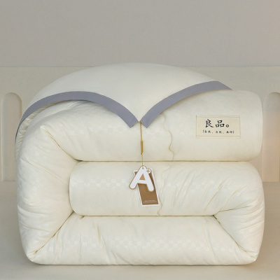 A类无印风大豆被保暖大豆纤维被芯加厚冬被学生宿舍单人春秋被子