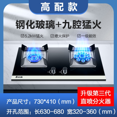 志高(CHIGO)煤气灶双灶燃气灶家用嵌入式天然气灶台式液化气灶猛火灶炉具_高配钢化玻璃鸳鸯猛火_天然气