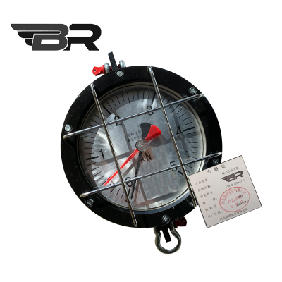 BR/拉力计拉力表/(LK-2(20kn))/台