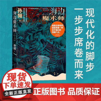 海边魔术师 孙频 著 小说