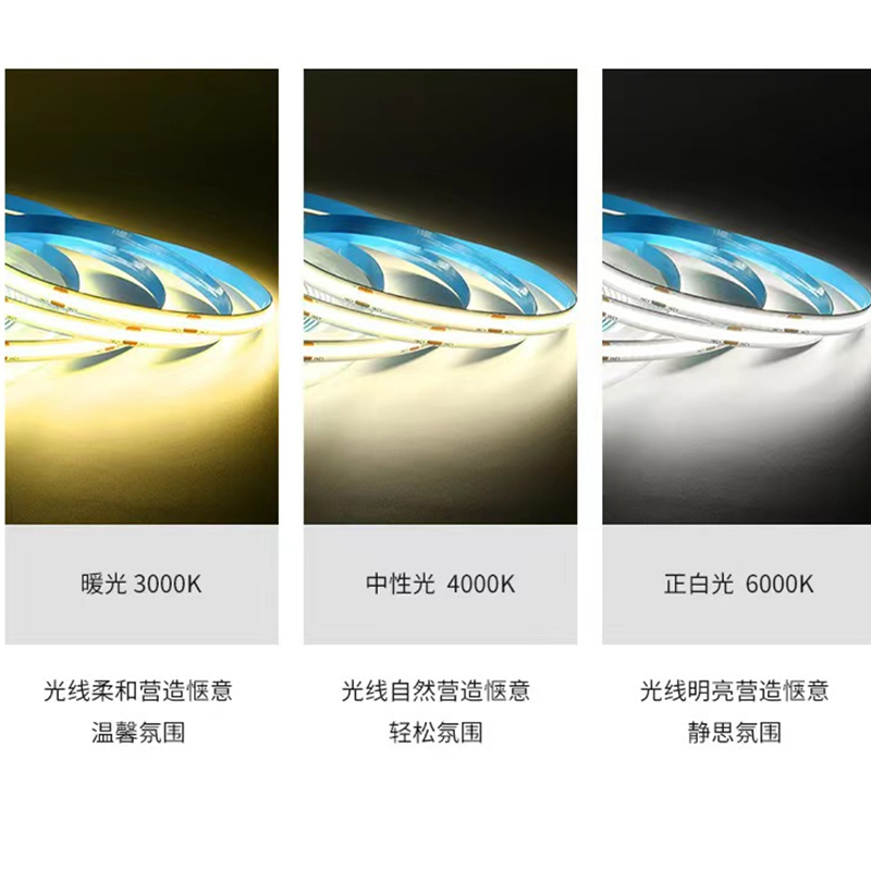 低压灯带 23A 12V 6000K 10米/卷