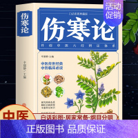 伤寒论 [正版]抖音同款漫画讲透黄帝内经原版书籍 漫画图解皇帝内经白话文彩图漫画版大字体四季养生大全百病食疗中医入门中草