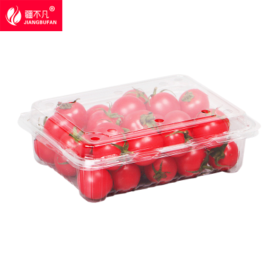 [疆不凡]一次性水果餐盒175*135*55mm/个