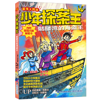 音像少年探案王(脑版)骷髅湾的海盗王法比安·蓝柯