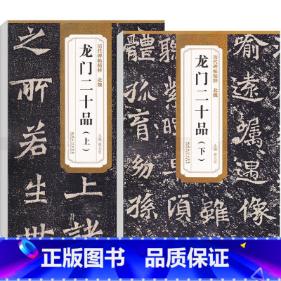 [正版]0减40北魏龙门二十品 上下 历代碑帖精粹 薛元明编 附技法解析 临摹临习篆书的好范本艺术书法篆刻