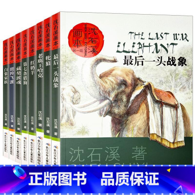 沈石溪动物画本(全8册) [正版]沈石溪动物小说全集全套8册四年级至六年级必读课外书老师读物五年级适合小学学生看读的小学