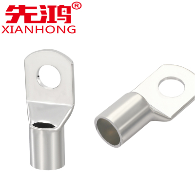 先鸿蓄电池接线端子铜鼻子接头6平方