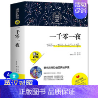 [正版]一千零一夜 双语互译读物中英双语对照双语读物英文美文阅读文学小说 英汉互译书籍 英语阅读书籍课外阅读学英语读物