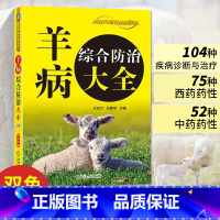 [正版]羊病综合防治大全 羊疾病治疗知识 养羊技术书籍大全 肉羊山羊专业牛羊养殖书综合全书饲养生产与疾病防治书兽医书诊