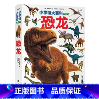 恐龙 [正版]浪花朵朵 小学馆大百科 恐龙 哺乳动物 7岁以上 少儿科普百科大全 收录400多种恐龙和同时代生物 童