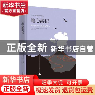 正版 地心游记 (法)儒勒·凡尔纳(Jules Verne)著 湖南文艺出版社
