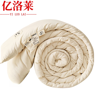 亿洛莱 空调被 150*200cm 3斤 床