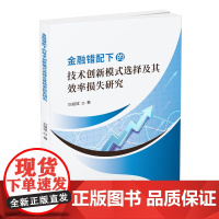 金融错配下的技术创新模式选择及其效率损失研究