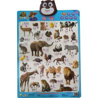 正版新书]动物-鸟.虫-熊熊乐园有声大挂图本书编委会97875365774