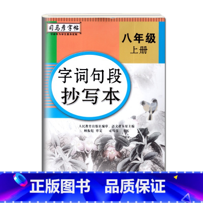 字词句段抄写本[八年级上] [正版]司马彦字词句段抄写本八年级下册语文同步练字帖人教版 初二下写字课课练小学8年级上册楷
