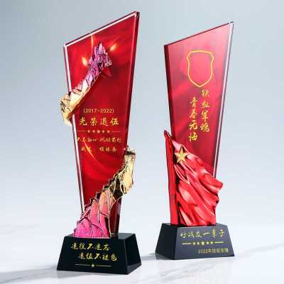 退伍八一军人纪念品送战友礼品定制品创意军旅老兵退役纪念品奖杯 29*8*6cm