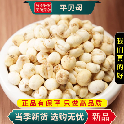 甄选平贝母100克无硫平贝母干货正品煮水泡茶另售黄芩9260