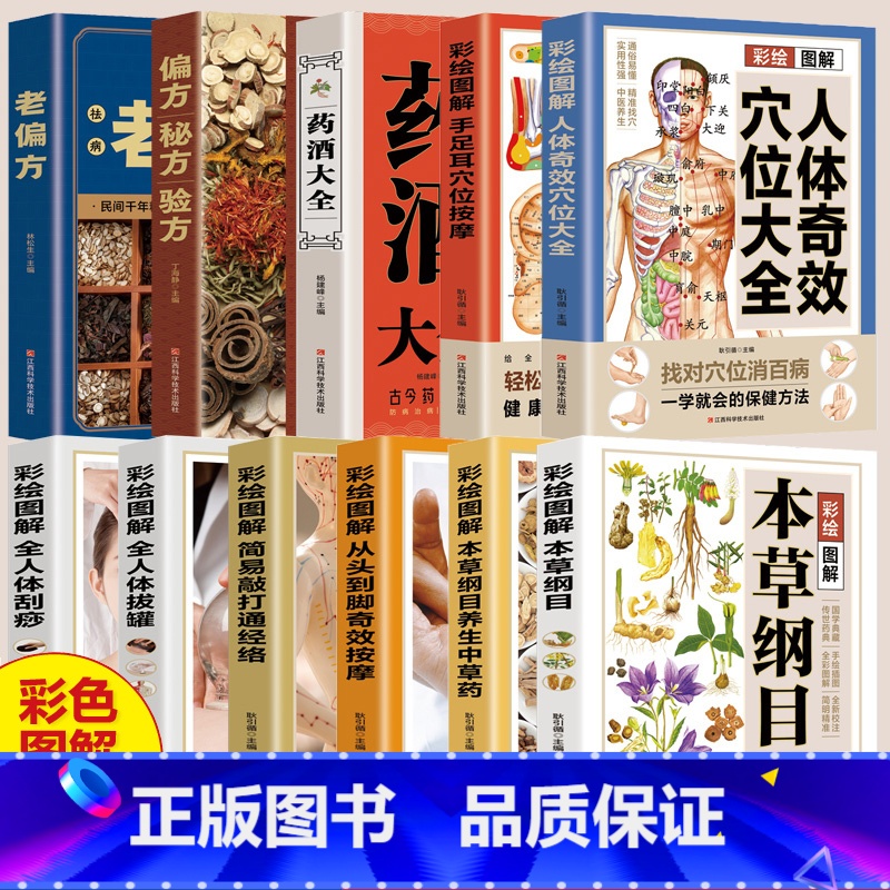 彩绘图解本草纲目养生中草药 [正版]彩绘图解系列中医百科大全 全11册 本草纲目 按摩拔罐刮痧药酒穴位偏方中药材 中草药