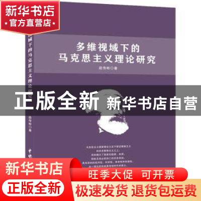 正版 多维视域下的马克思主义理论研究 段传彬著 中国水利水电出