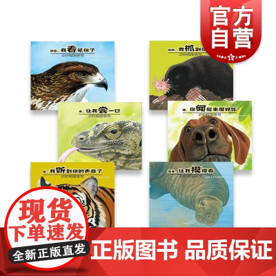 动物极限感觉(全六册) 别跑我看见你了 嗯,你闻起来很好吃 是谁让我摸摸看 我听到你的声音了 乖,让我尝一口 正版 少年