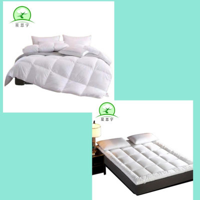 星思宇 套件(仿鹅绒被+床垫保护罩)