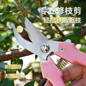 专业园艺师新款园艺园林果树剪刀修剪树枝家用 把 011直头摘果剪-红色