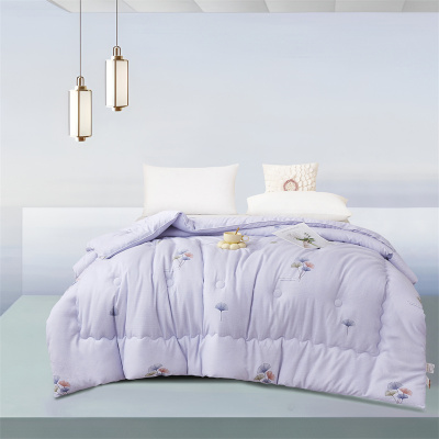 唐纳家纺 七孔纤维被 200*230CM/2500G- TN-SAQ24021