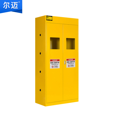 尔迈 全钢防爆气瓶柜安全柜小型工厂氢氧乙炔气瓶储存柜钢瓶柜 双瓶无报警器灰白色/黄色可选