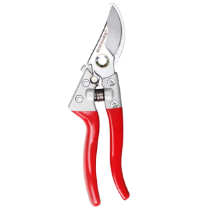 隆脉 园艺修枝剪修剪树枝神器花艺果树剪枝工具园林强力剪子家用花剪刀 个