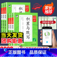 53单元归类复习+53阅读真题60篇 五年级下 [正版]2023版53基础练积累与默写一二三四五六年级上册下册人教版小学