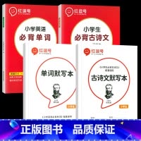 [全4册]小学生必背古诗文+英语单词+默写本 小学通用 [正版]小学语文优美句子积累大全修辞手法专项训练打卡计划字词句段