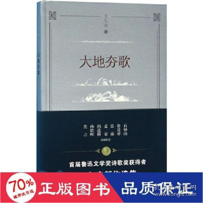 正版新书]大地夯歌王久辛9787555018575