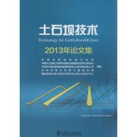 正版新书]土石坝技术:2013年论文集水电水利规划设计总院 等