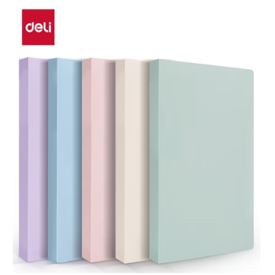 得力72672 文件夹整理袋 / 30页资料册 / 颜色随机(1个)(定制)