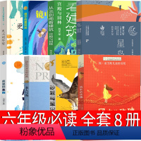 六年级套装全8册 [正版]老人与海 译林出版社六年级必读的课外书老师经典上册 欧内斯特·海明威原版原著 余光中译 小学生
