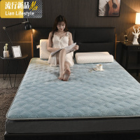 床垫冬季加厚保暖榻榻米软垫租房专用羊羔绒防滑褥子单人海绵垫被 三维工匠