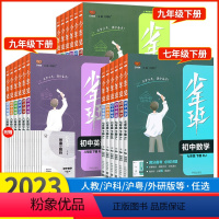 语文(人教版) 七年级下 [正版]2023版初中少年班七八九上下语文数学英语物理化学培优必刷题七年级九年级上册人教沪科版